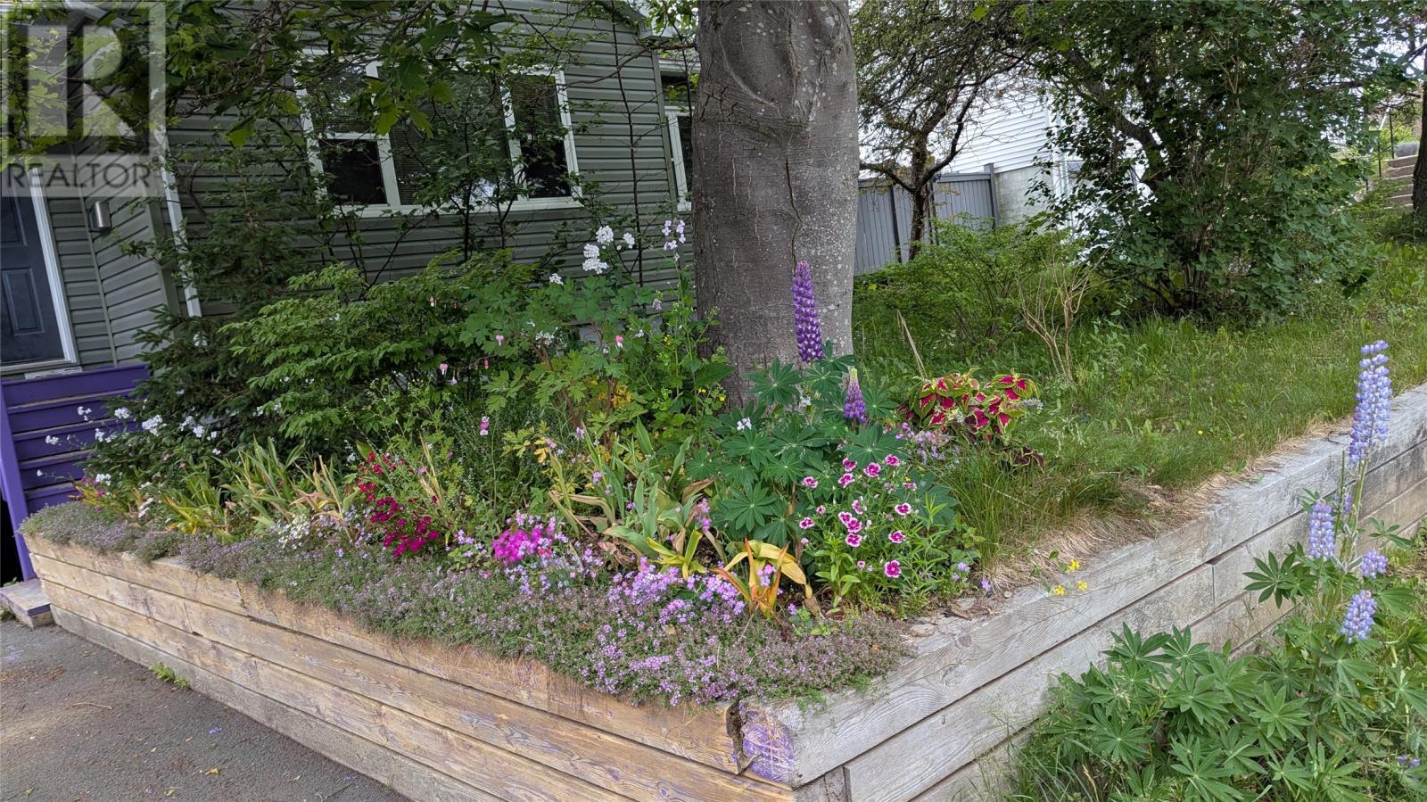 59 Carpasian Road, St. John's — photo 4