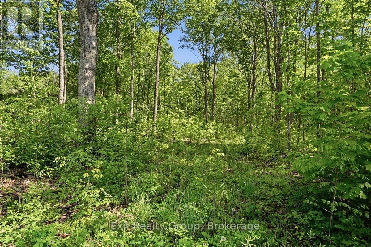 75 Spry Road, Stirling-Rawdon, Ontario  K0K 3E0 - Photo 10 - X13840628