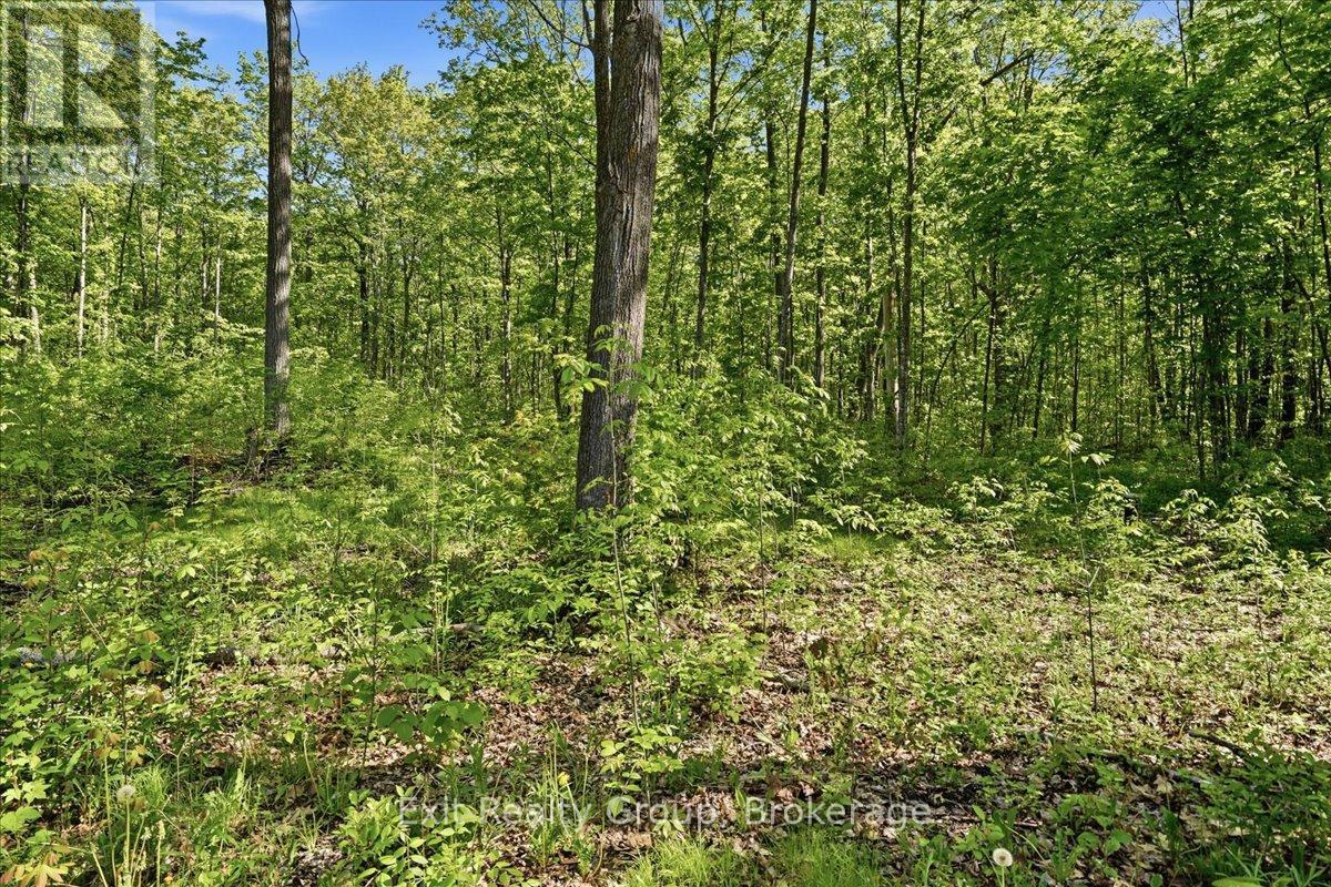 75 Spry Road, Stirling-Rawdon, Ontario  K0K 3E0 - Photo 11 - X13840628