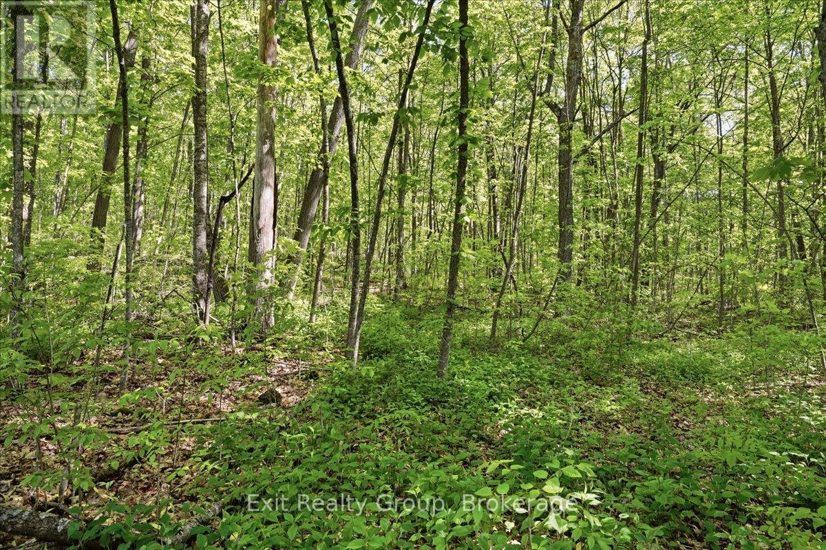 75 Spry Road, Stirling-Rawdon, Ontario  K0K 3E0 - Photo 12 - X13840628