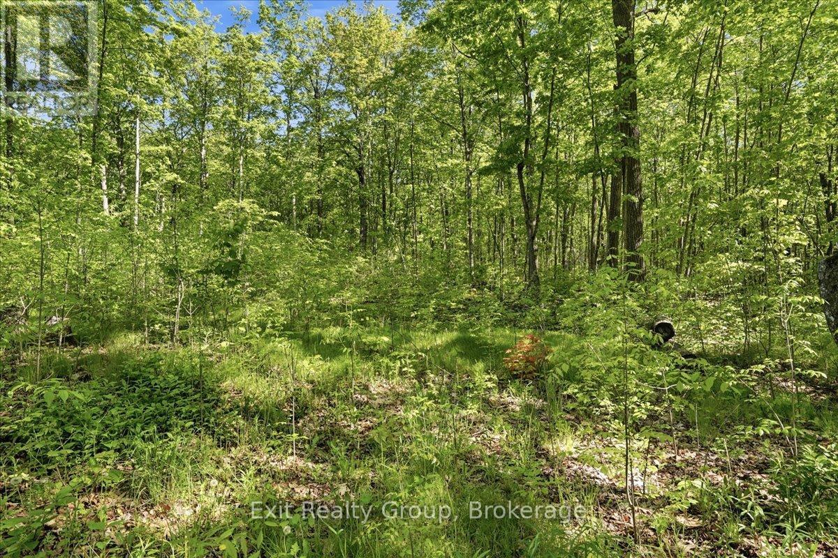 75 Spry Road, Stirling-Rawdon, Ontario  K0K 3E0 - Photo 13 - X13840628