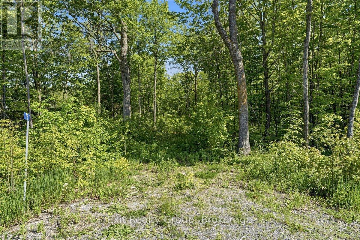 75 Spry Road, Stirling-Rawdon, Ontario  K0K 3E0 - Photo 3 - X13840628