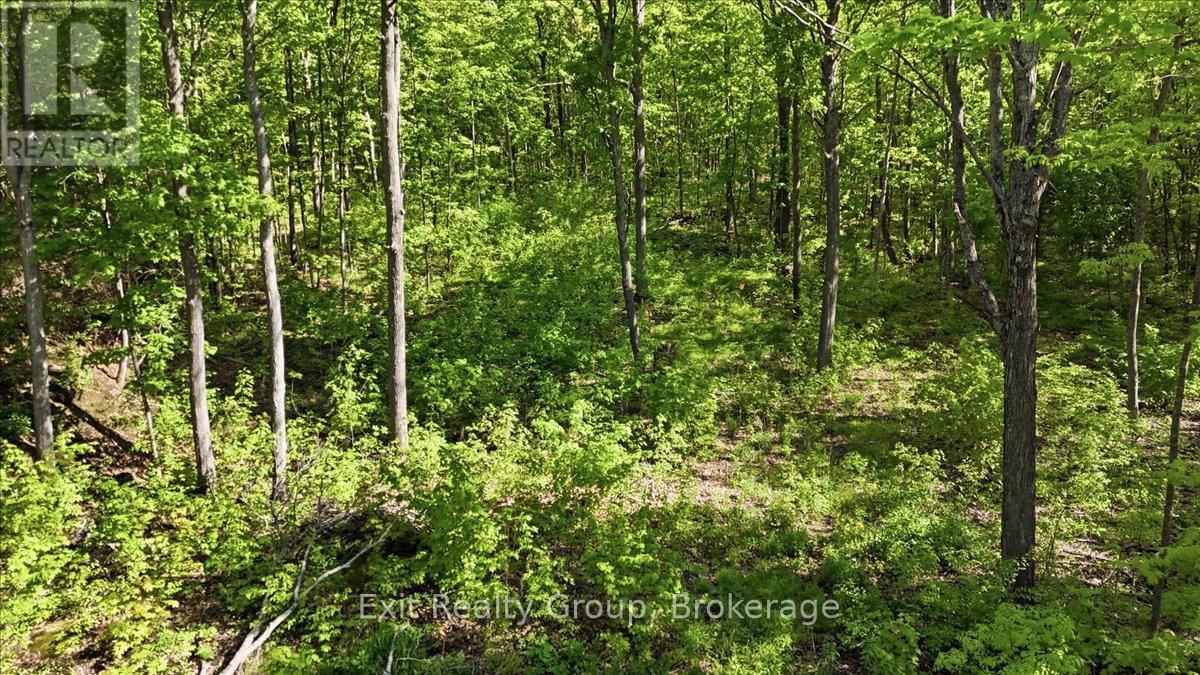 75 Spry Road, Stirling-Rawdon, Ontario  K0K 3E0 - Photo 5 - X13840628