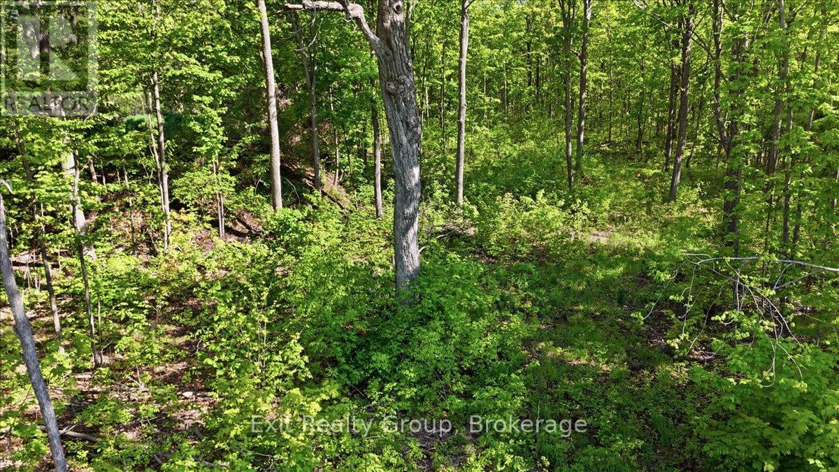 75 Spry Road, Stirling-Rawdon, Ontario  K0K 3E0 - Photo 6 - X13840628