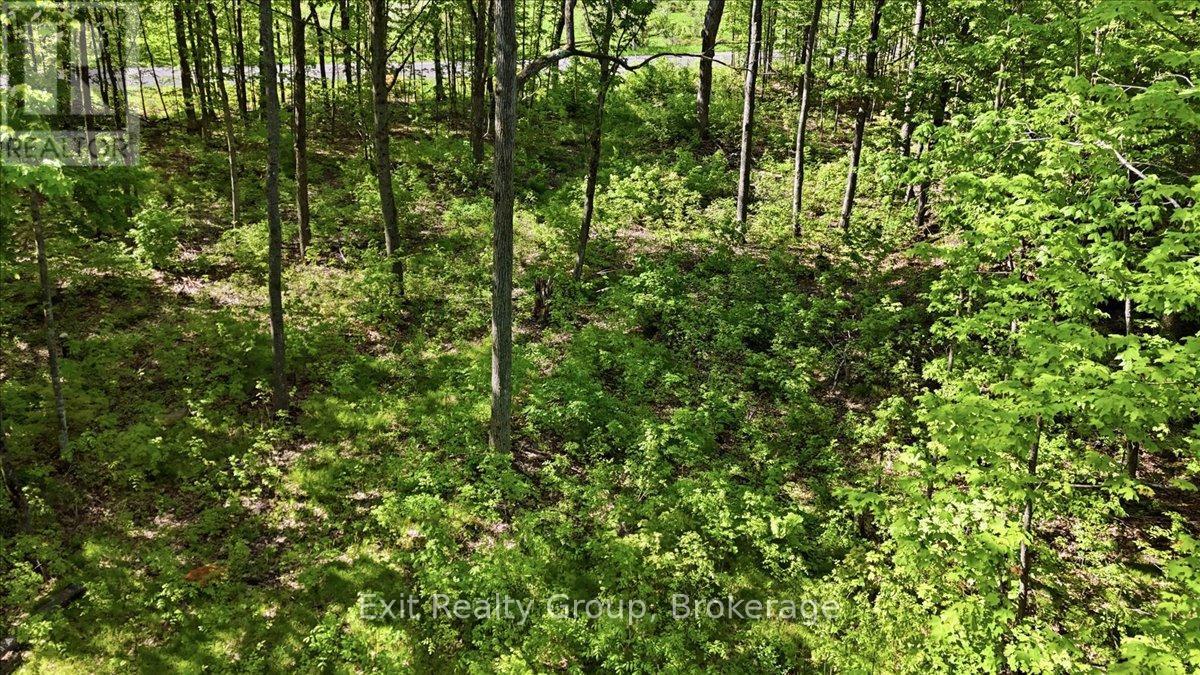 75 Spry Road, Stirling-Rawdon, Ontario  K0K 3E0 - Photo 7 - X13840628