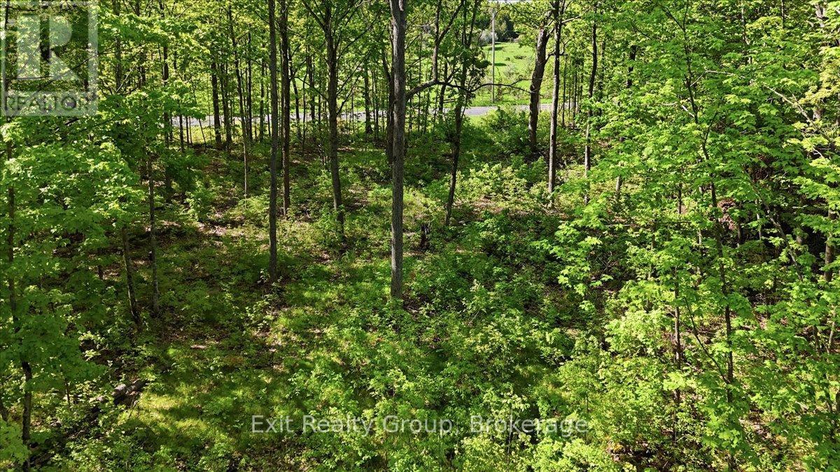 75 Spry Road, Stirling-Rawdon, Ontario  K0K 3E0 - Photo 8 - X13840628