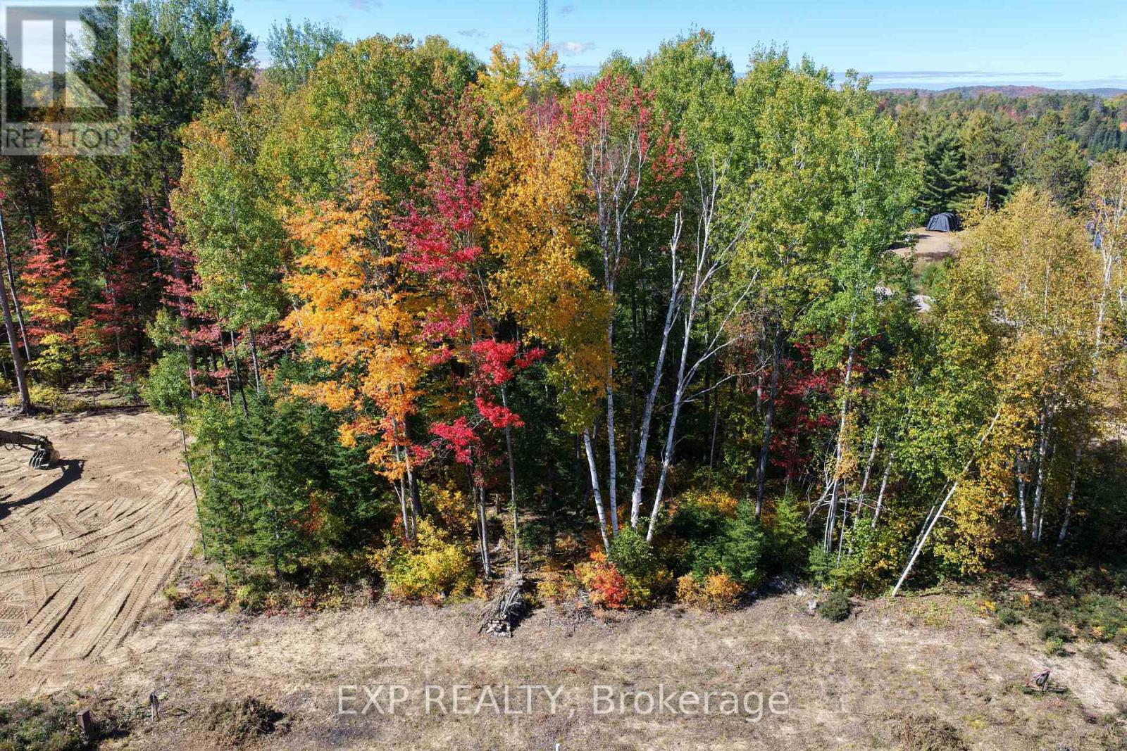 Lot 14 Birchview Drive, Madawaska Valley, Ontario  K0J 1B0 - Photo 2 - X13716204