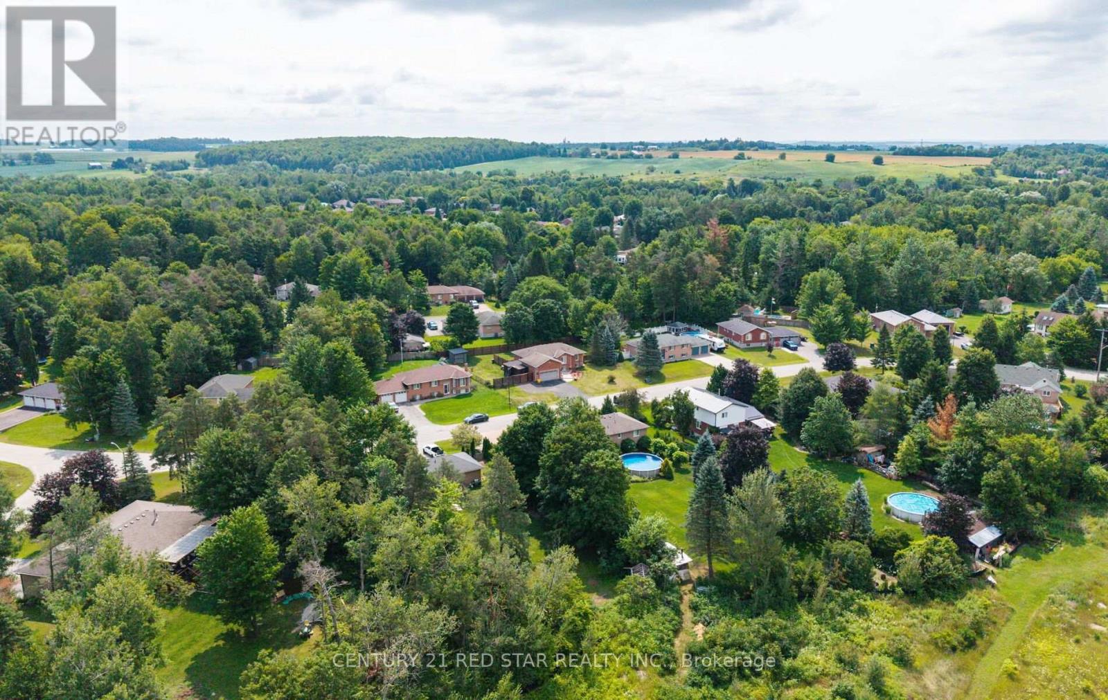 54 Moore Avenue E, Adjala-Tosorontio (Everett), Ontario  L0M 1J0 - Photo 40 - N13840566
