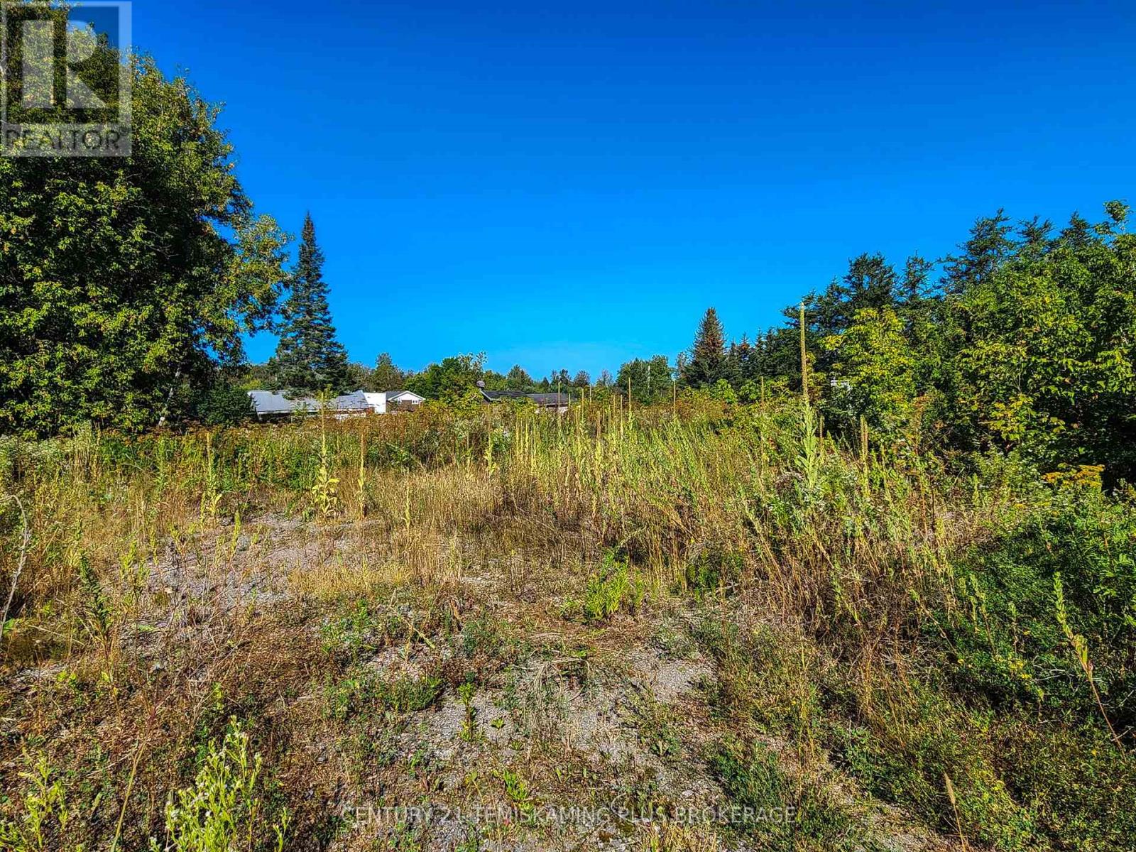 494356 Ninth Road, Englehart, Ontario  P0J 1H0 - Photo 11 - T13840902