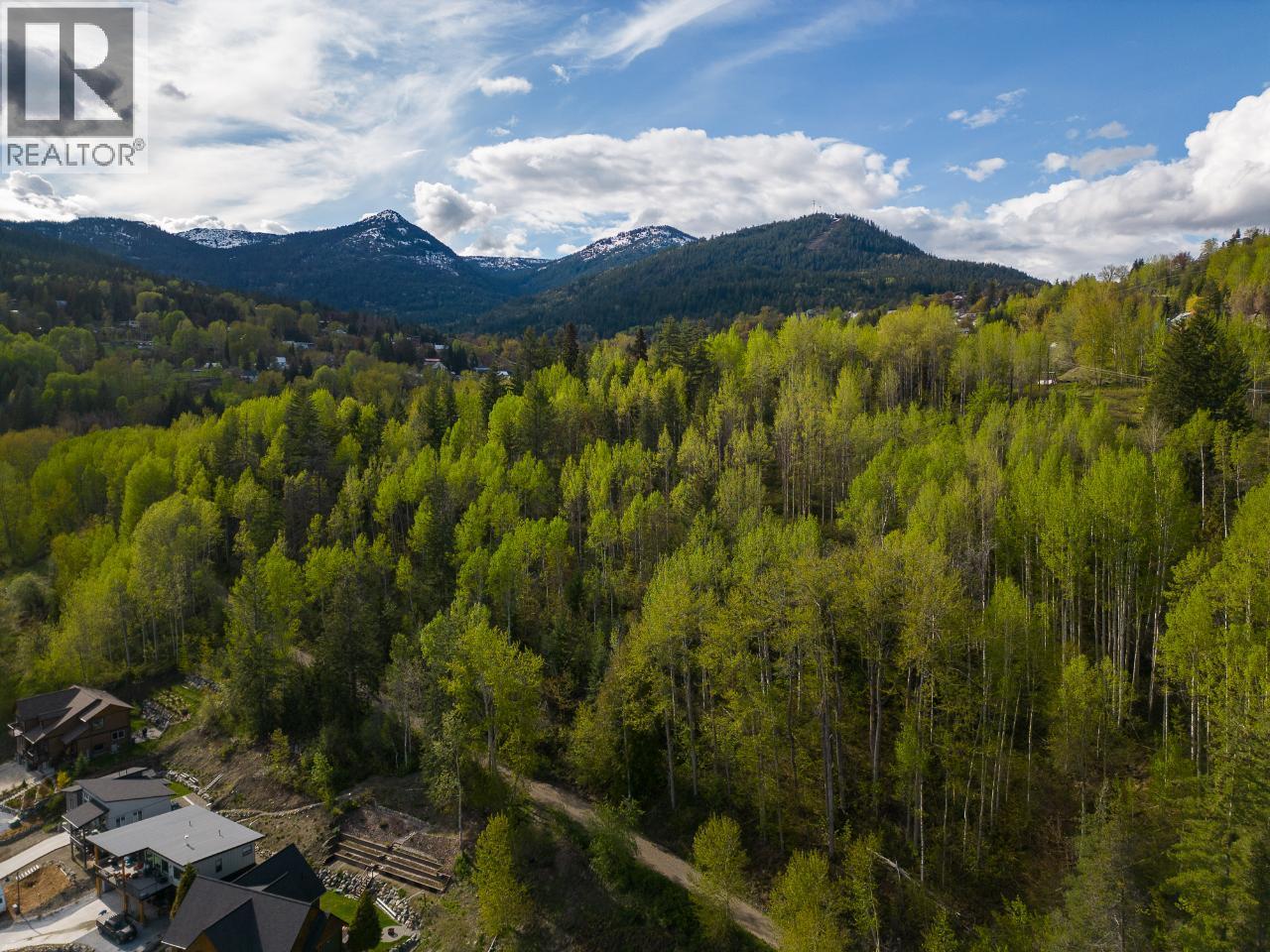 1021 Silvertip Road, Rossland, British Columbia V0G 1Y0 - Photo 30 - 2470639