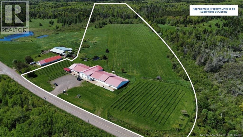 851 Route 970, Baie Verte, New Brunswick  E4M 1Y3 - Photo 3 - NB145828