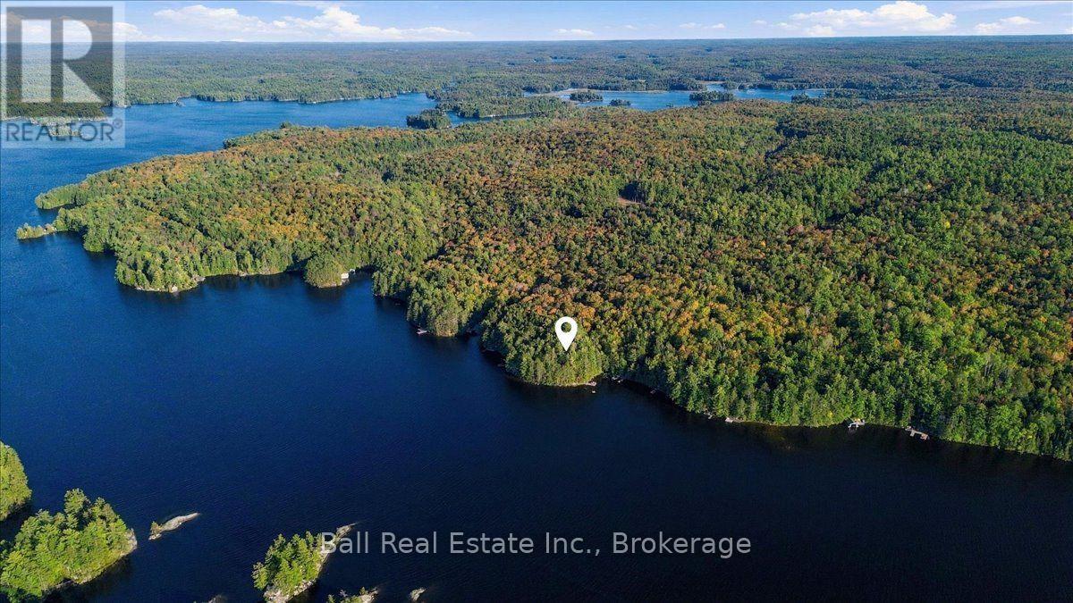 616 Weslemkoon Lake, West Bay- Wao Road, Addington Highlands, Ontario  K0H 1K0 - Photo 15 - X13840948