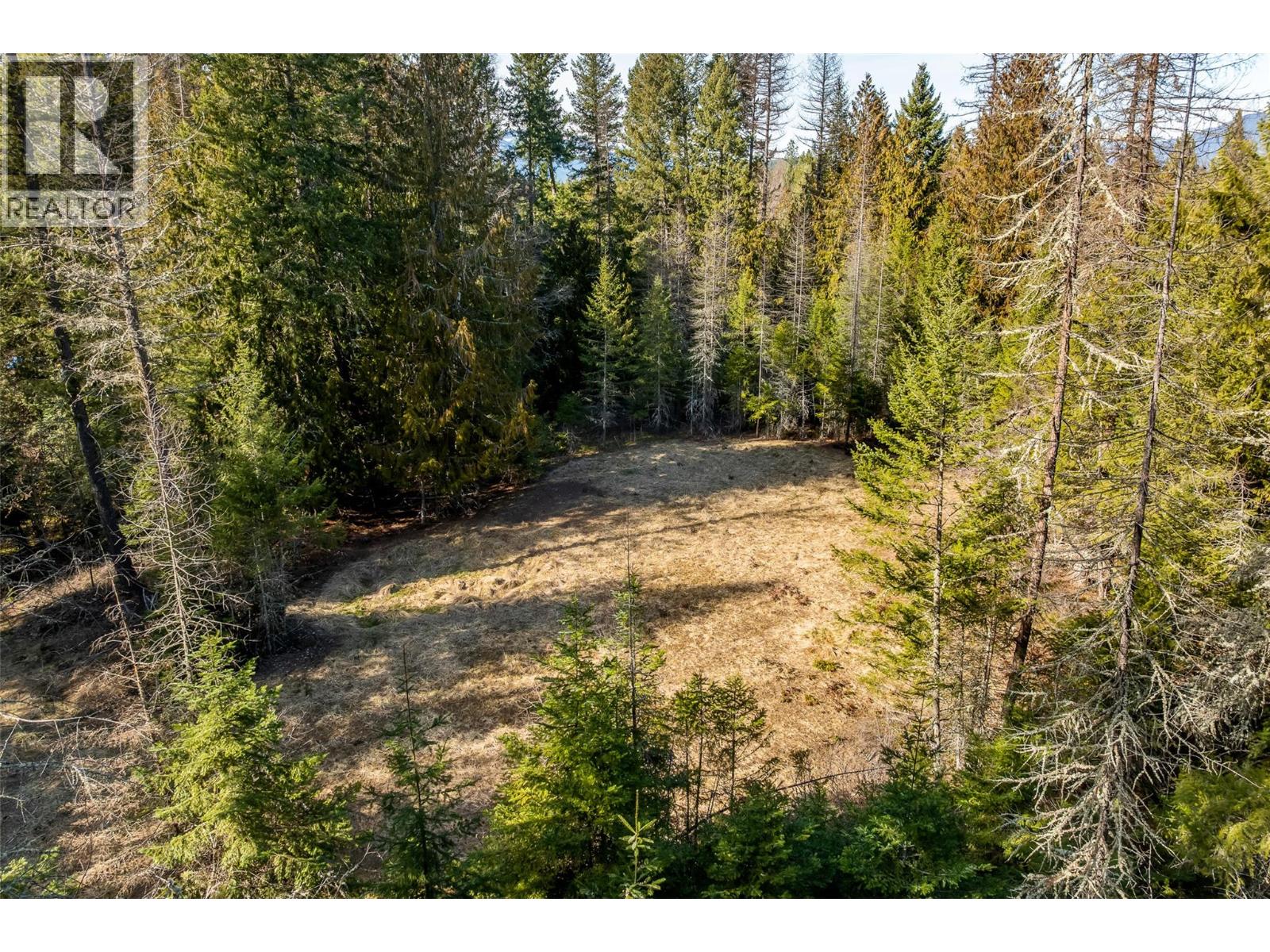 200 Wellspring Road, Creston, British Columbia V0B 1G2 - Photo 8 - 10402234