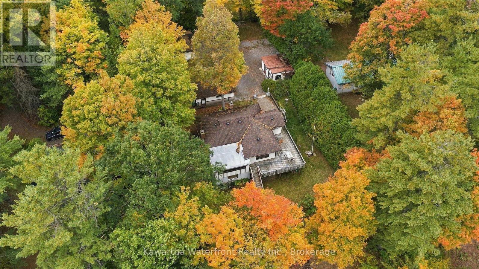 1628 Lewis Road, Highlands East, Ontario  K0L 1C0 - Photo 47 - X13841254