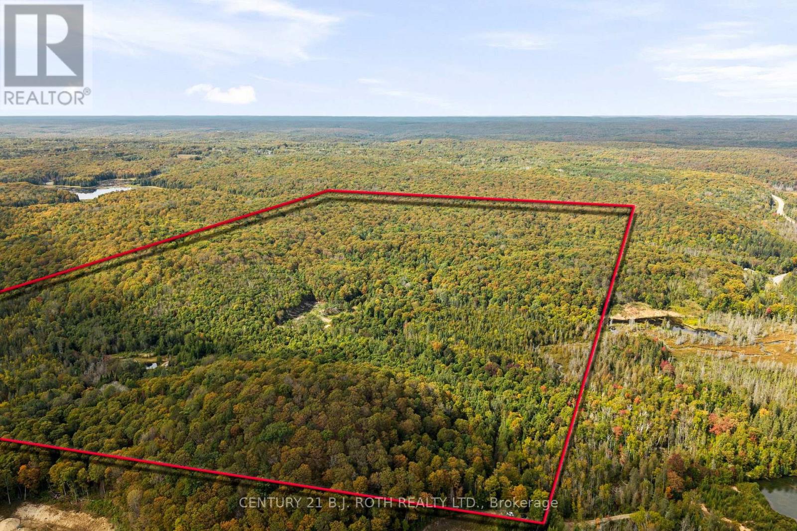 Pt 23 & 24 4 Concession, Dysart Et Al, Ontario  K0M 1S0 - Photo 4 - X13841434