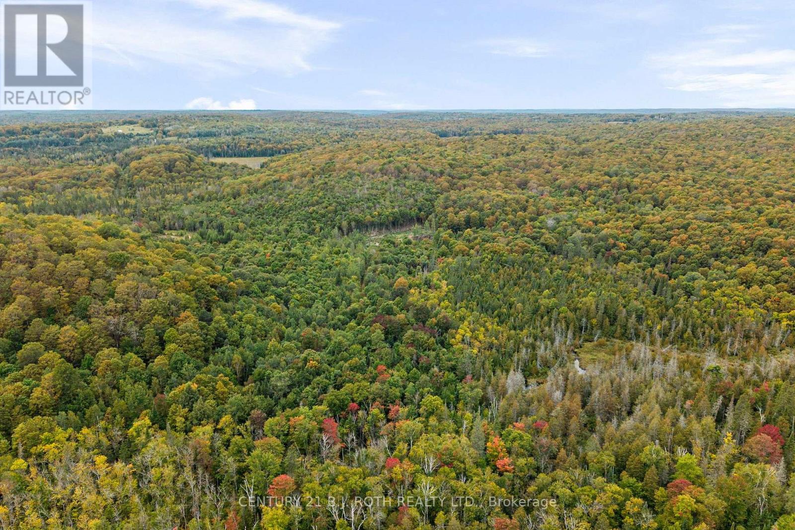 Pt 23 & 24 4 Concession, Dysart Et Al, Ontario  K0M 1S0 - Photo 5 - X13841434