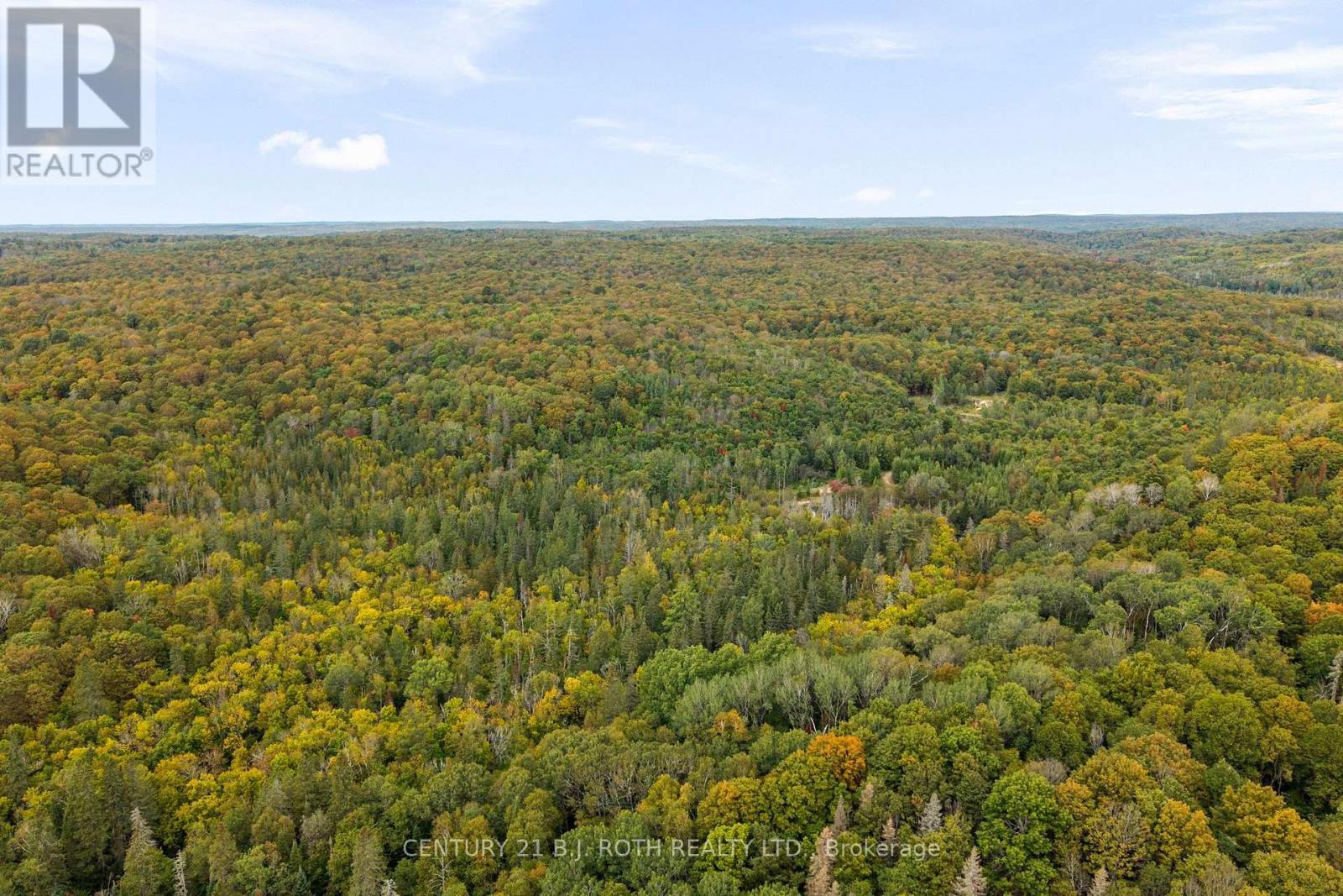 Pt 23 & 24 4 Concession, Dysart Et Al, Ontario  K0M 1S0 - Photo 9 - X13841434