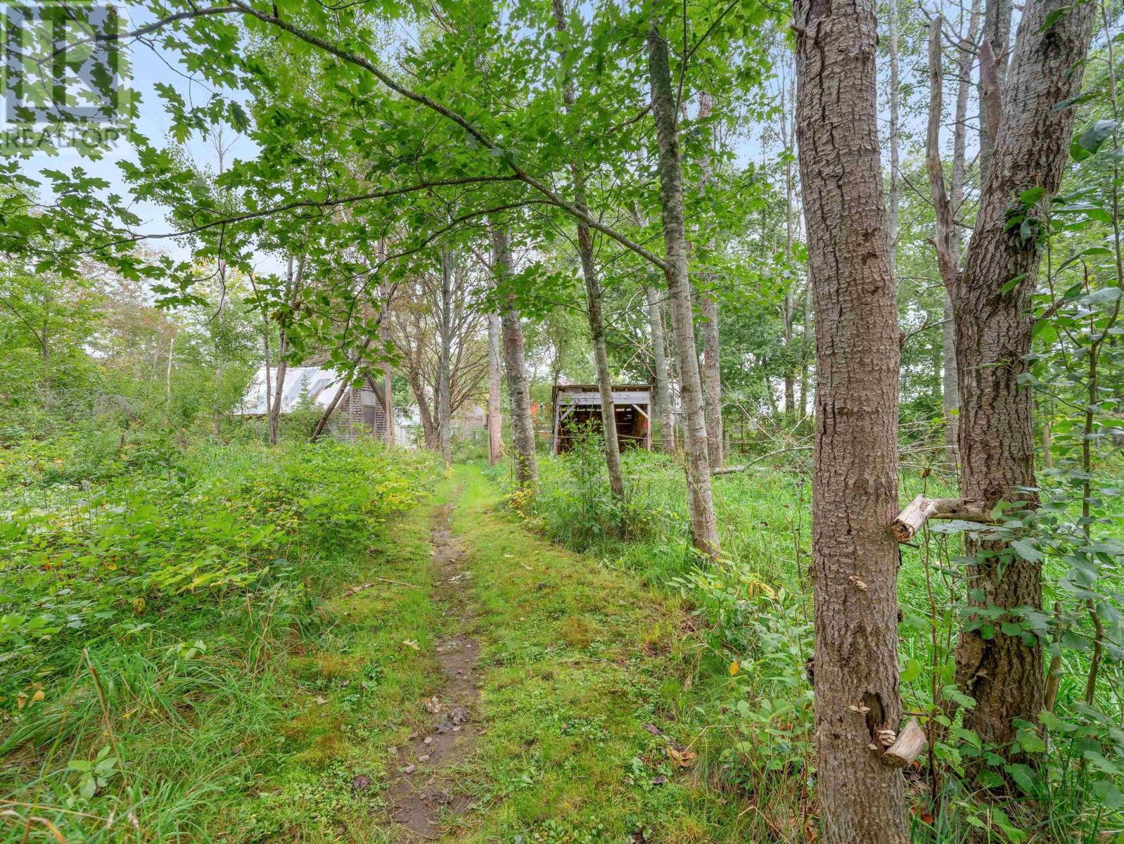 picture 36