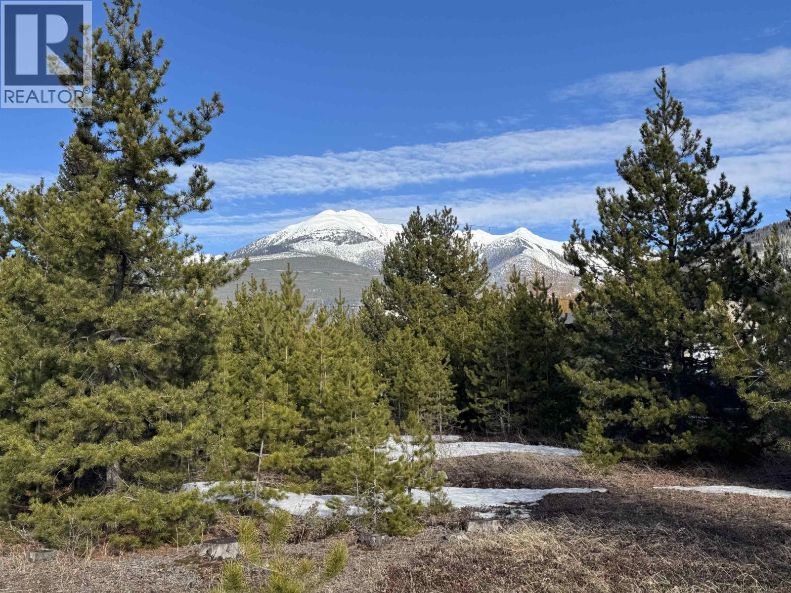 1330 9TH AVENUE, Valemount, British Columbia