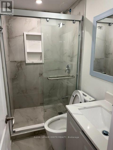 Bsmt 2 - 38 Patina Drive, Toronto (Hillcrest Village), Ontario  M2H 1R1 - Photo 7 - C13841650