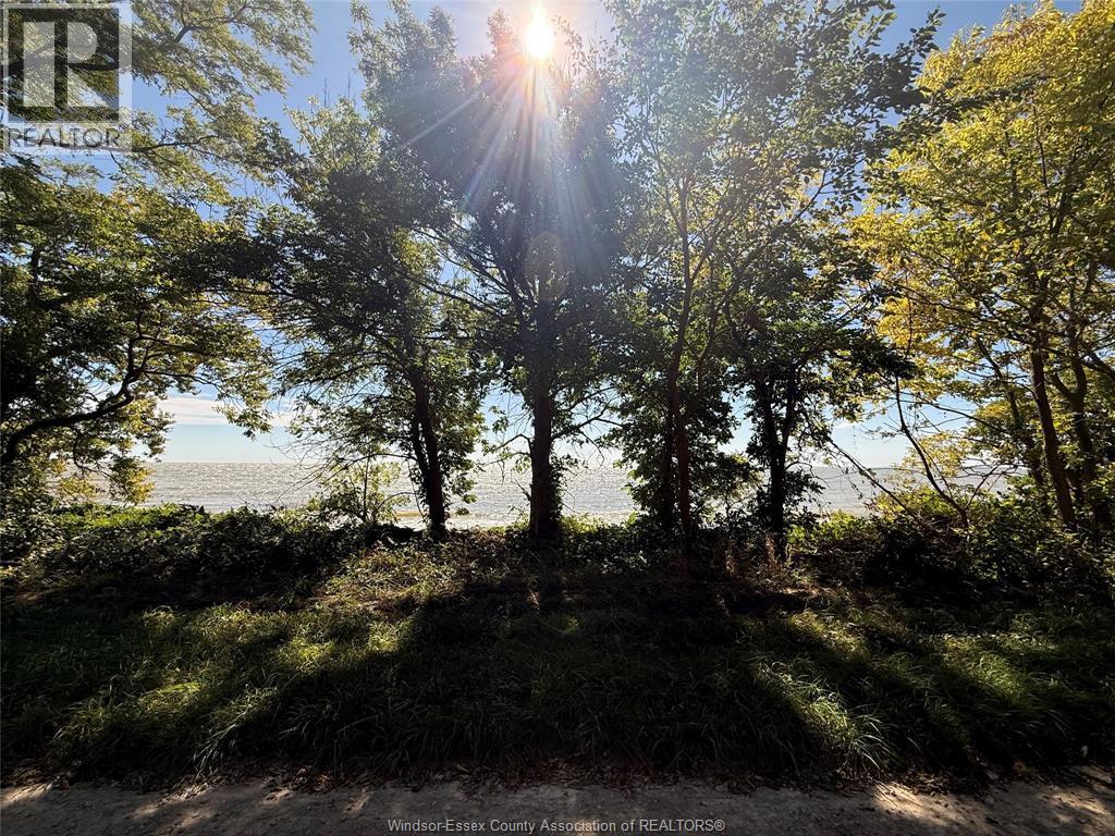 537 South Shore, Pelee Island, Ontario  N0R 1M0 - Photo 7 - 26023963