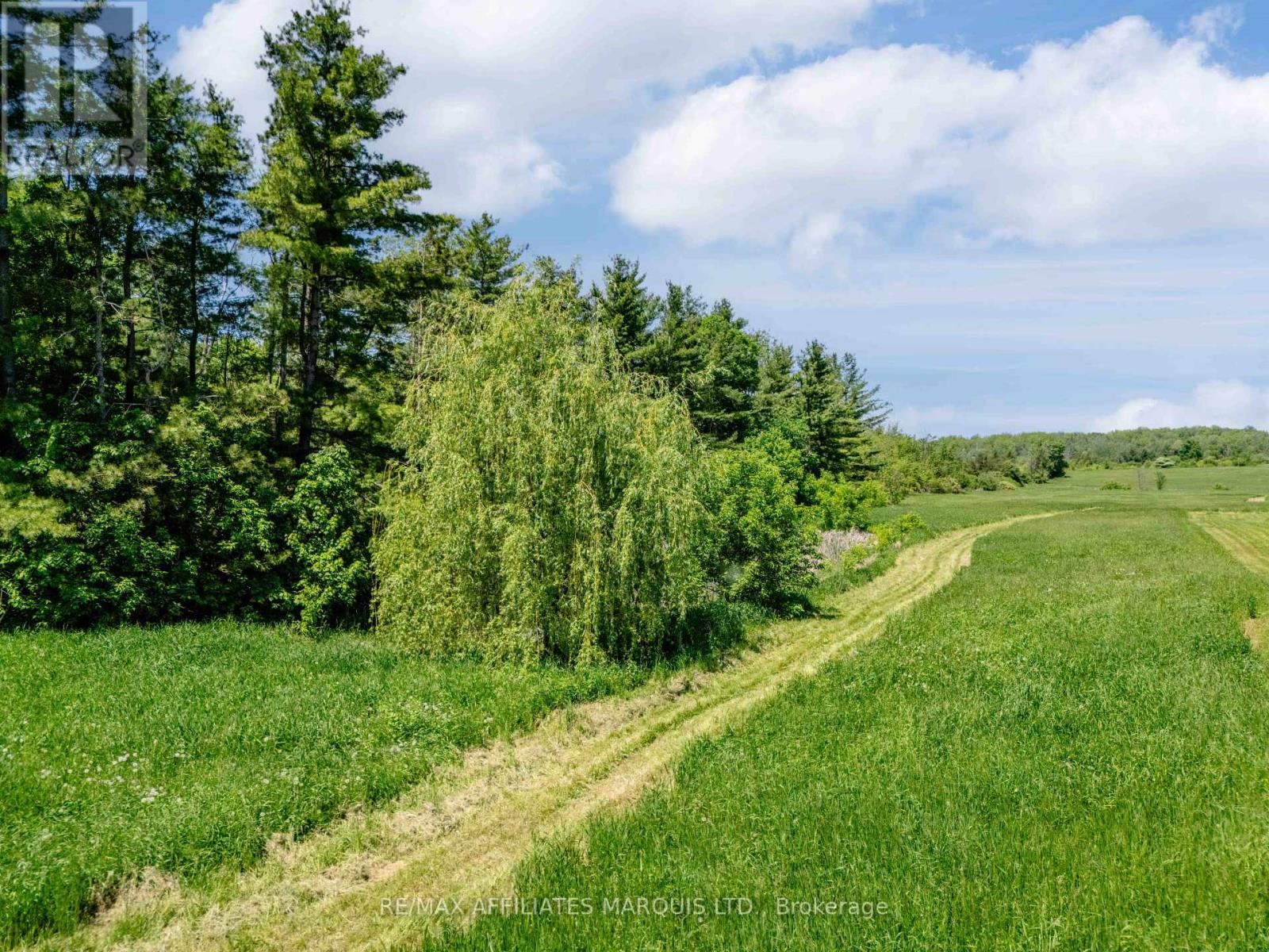 00000 Paragon Road, South Glengarry, Ontario  K6H 5R5 - Photo 3 - X13841878