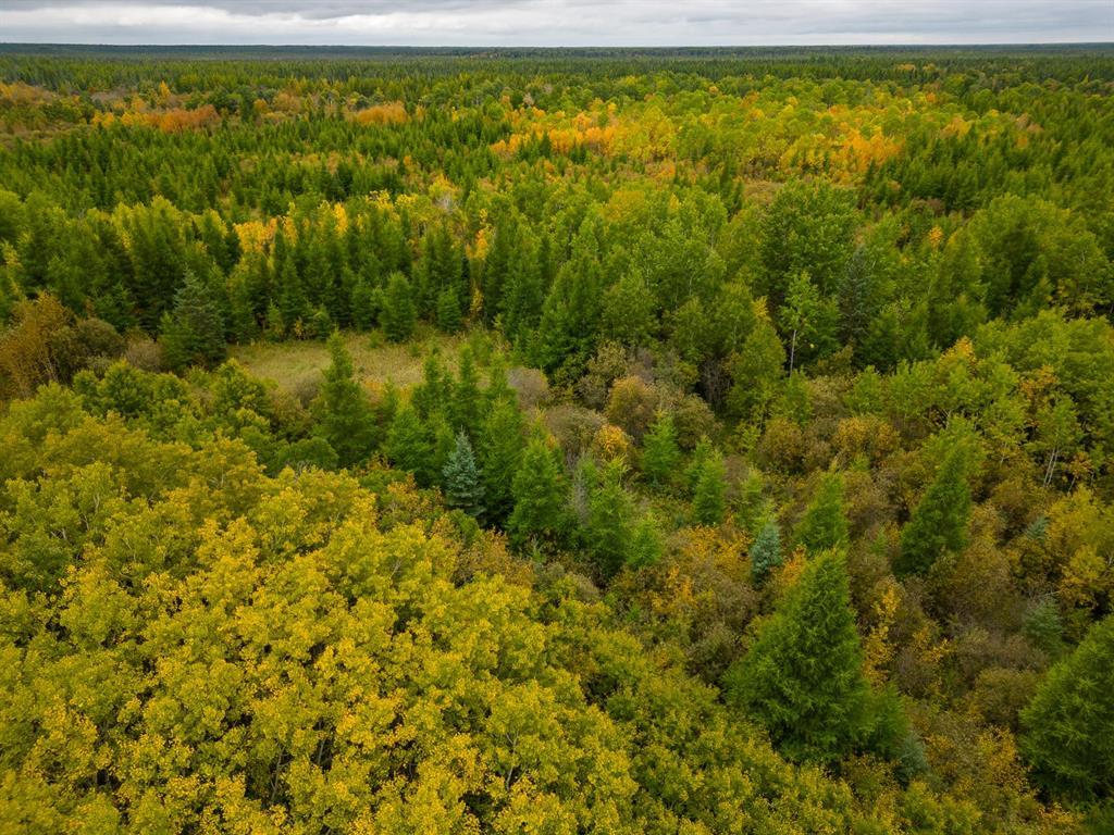 0 Railroad Avenue, Molson, Manitoba  R0E 1X0 - Photo 14 - 202624439