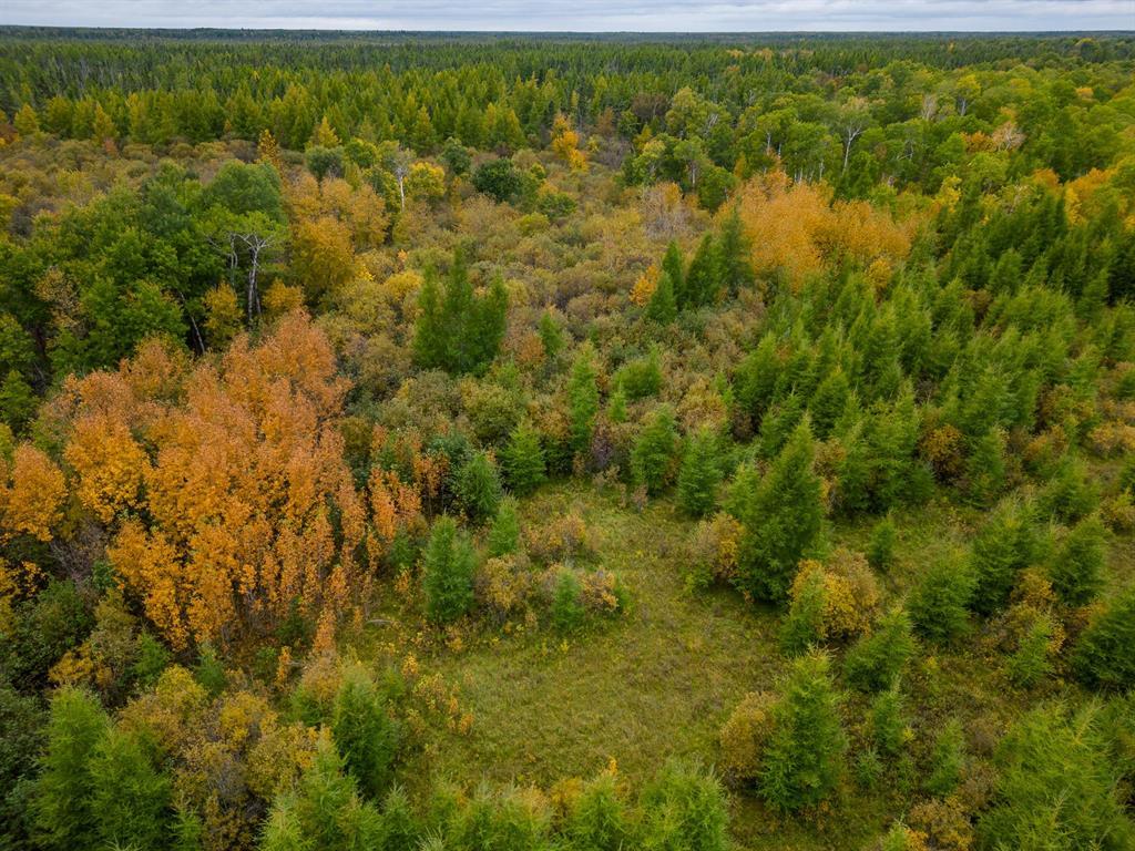 0 Railroad Avenue, Molson, Manitoba  R0E 1X0 - Photo 17 - 202624439