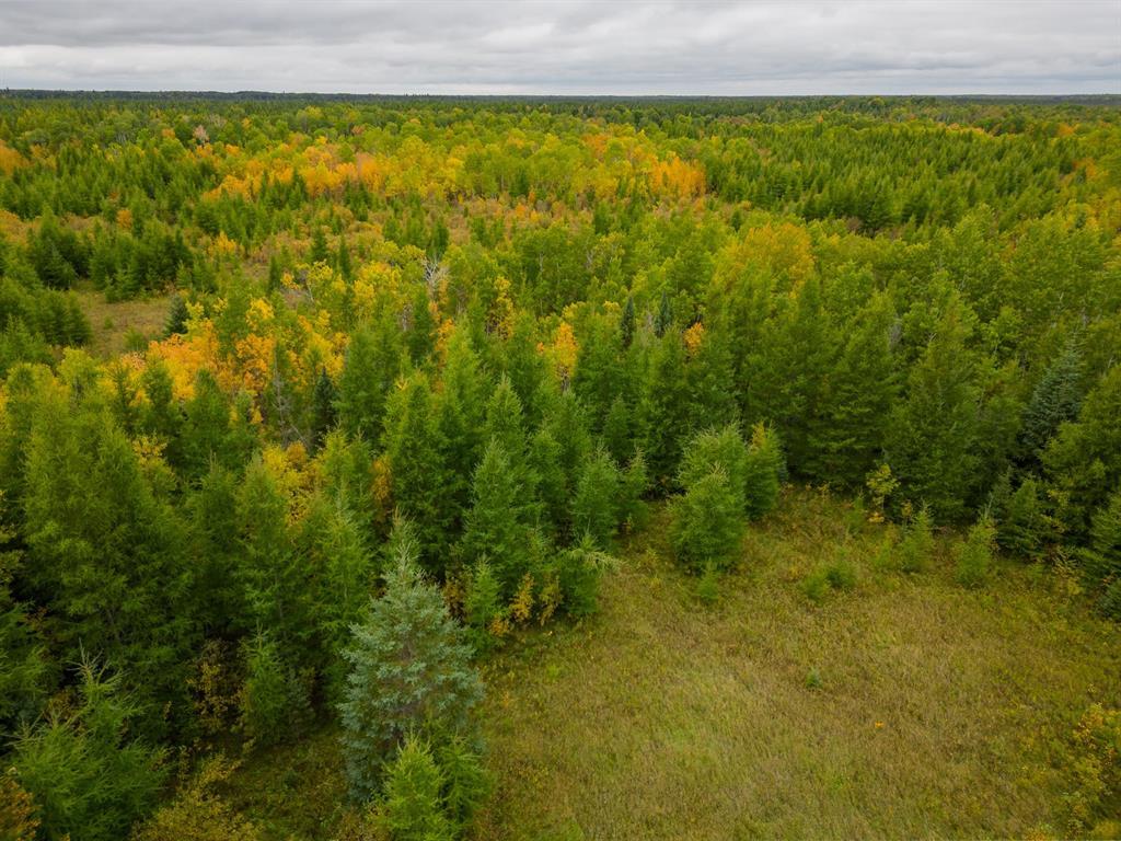 0 Railroad Avenue, Molson, Manitoba  R0E 1X0 - Photo 22 - 202624439