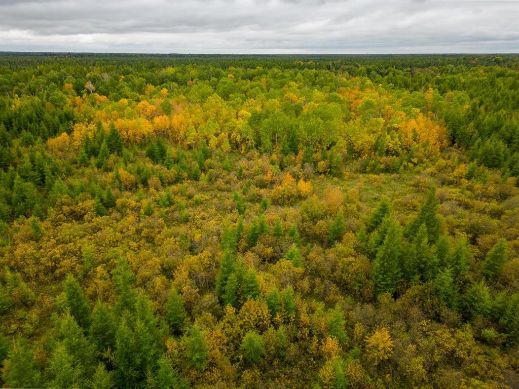 0 Railroad Avenue, Molson, Manitoba  R0E 1X0 - Photo 23 - 202624439