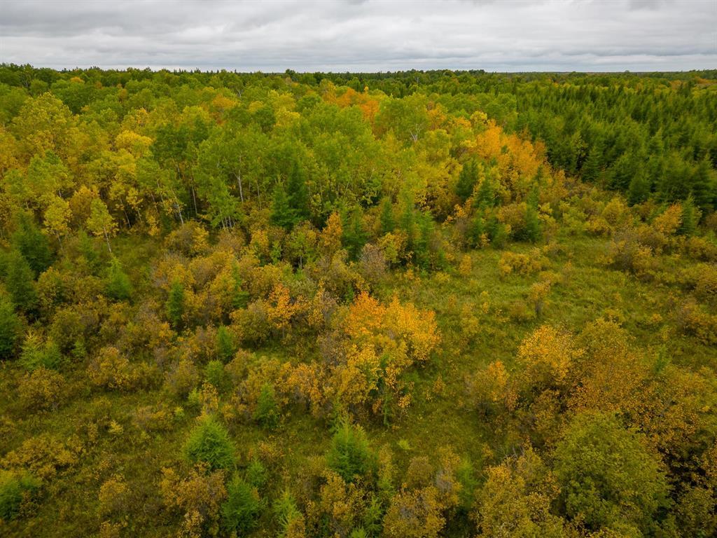 0 Railroad Avenue, Molson, Manitoba  R0E 1X0 - Photo 24 - 202624439