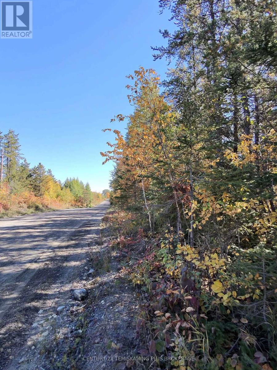 0 Wilson Road, Temiskaming Shores (Haileybury), Ontario  P0J 1P0 - Photo 3 - T13841932