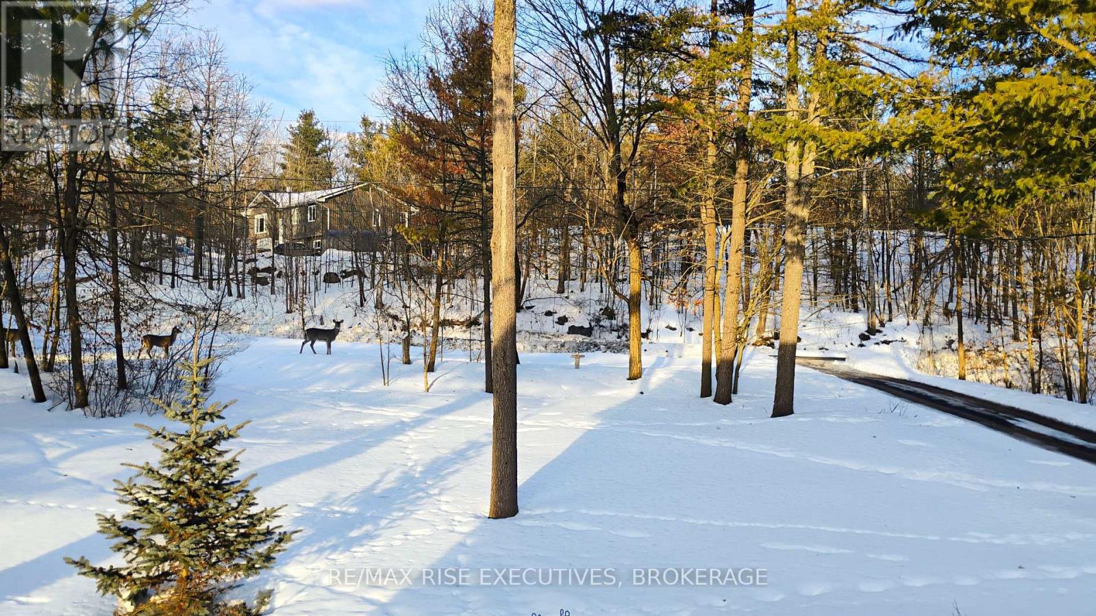 4956 Ramparts Road, Frontenac, Ontario  K0H 1H0 - Photo 29 - X13840412
