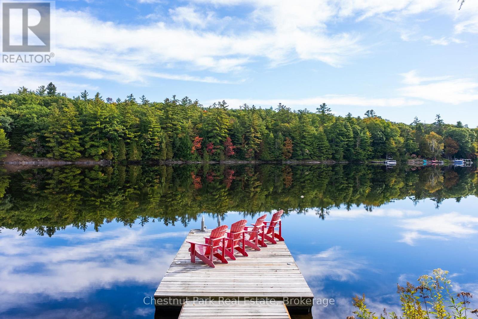 1047 Hallett Road S, Muskoka Lakes, Ontario  P0B 1J0 - Photo 4 - X13842262