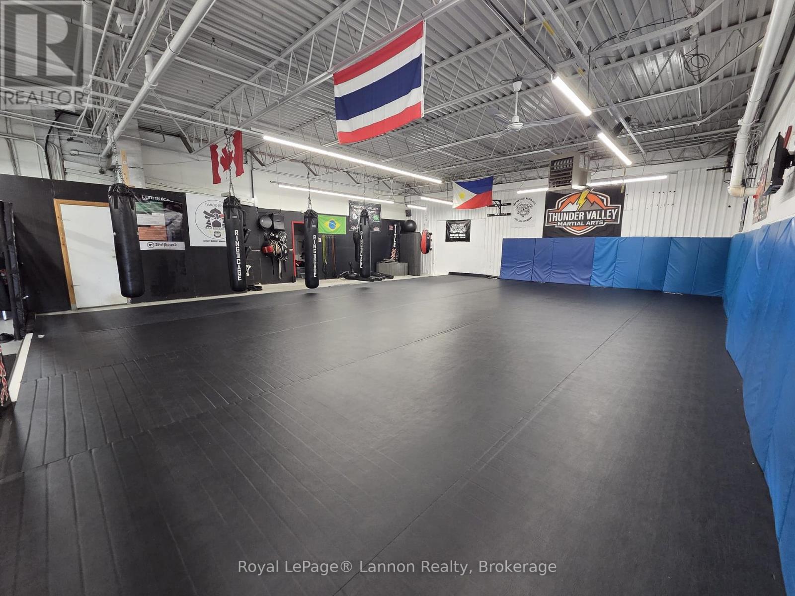 910 Memorial Avenue, Thunder Bay, Ontario  P7B 3Z9 - Photo 8 - X13842632