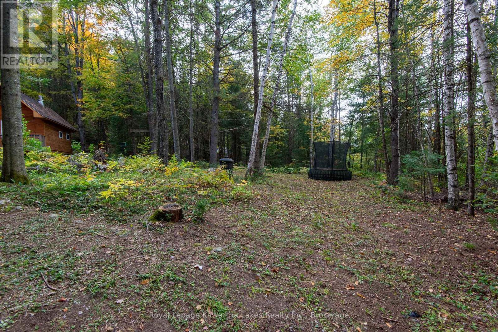 1810 Boldts Lane, Minden Hills, Ontario  K0M 2K0 - Photo 30 - X13842972