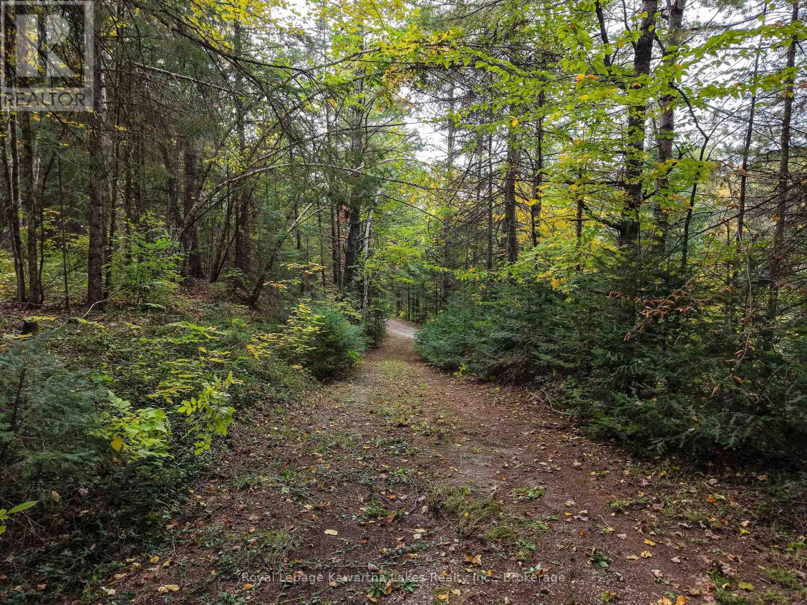 1810 Boldts Lane, Minden Hills, Ontario  K0M 2K0 - Photo 31 - X13842972
