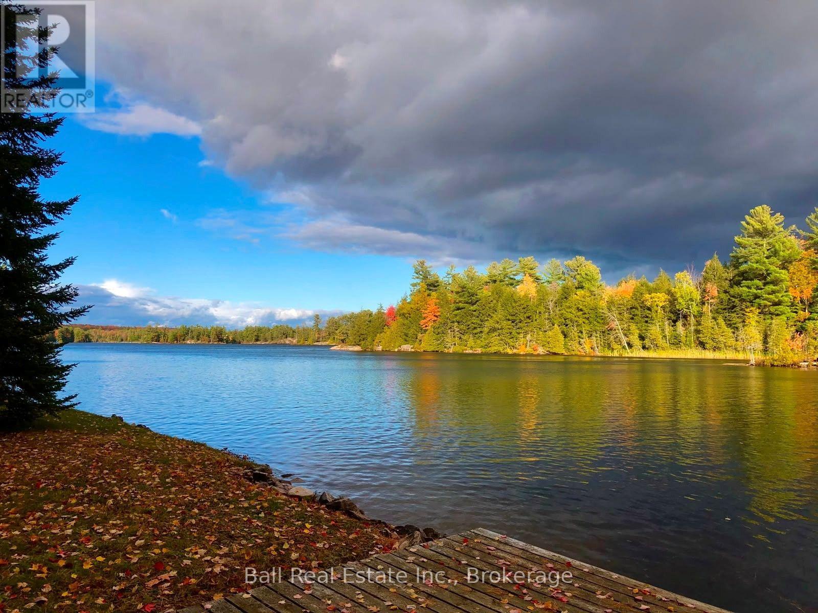 106 Irwin Drive, Trent Lakes, Ontario  K0L 1J0 - Photo 42 - X13842498