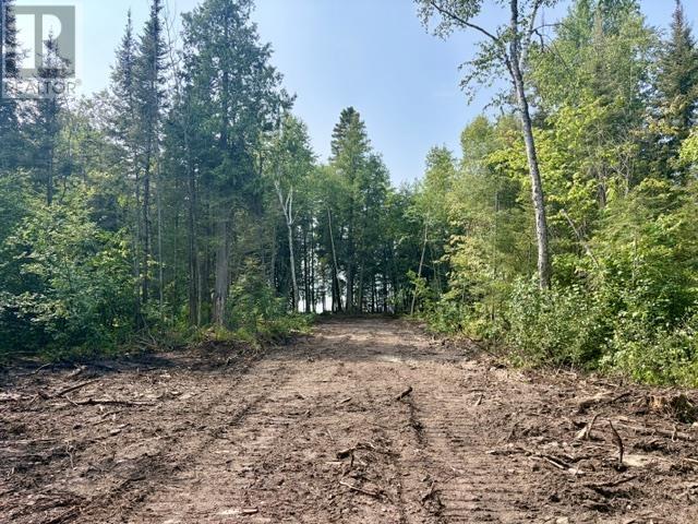 1315 Bluewater Rd, Goulais River, Ontario  P0S 1E0 - Photo 5 - SM262154