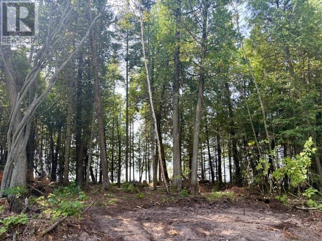 1315 Bluewater Rd, Goulais River, Ontario  P0S 1E0 - Photo 3 - SM262154