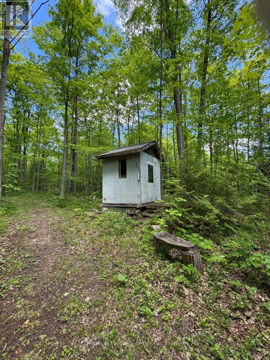 580223 Sideroad 60, Chatsworth, Ontario  N0H 1C0 - Photo 19 - X13842520