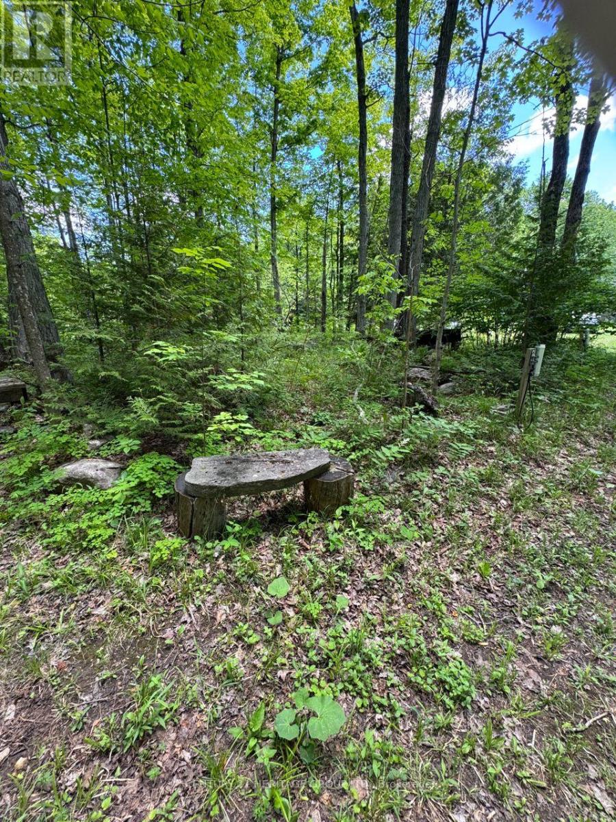 580223 Sideroad 60, Chatsworth, Ontario  N0H 1C0 - Photo 6 - X13842520