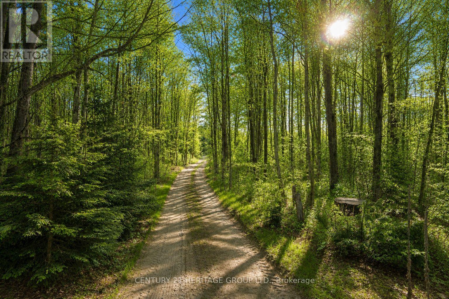 580223 Sideroad 60, Chatsworth, Ontario  N0H 1C0 - Photo 14 - X13842520