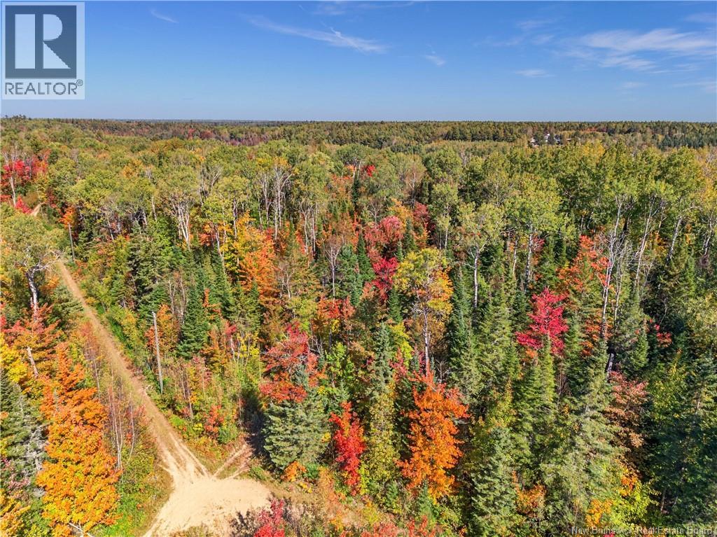 99-18 Route 8, Renous, New Brunswick  E9B 1V1 - Photo 10 - NB134164