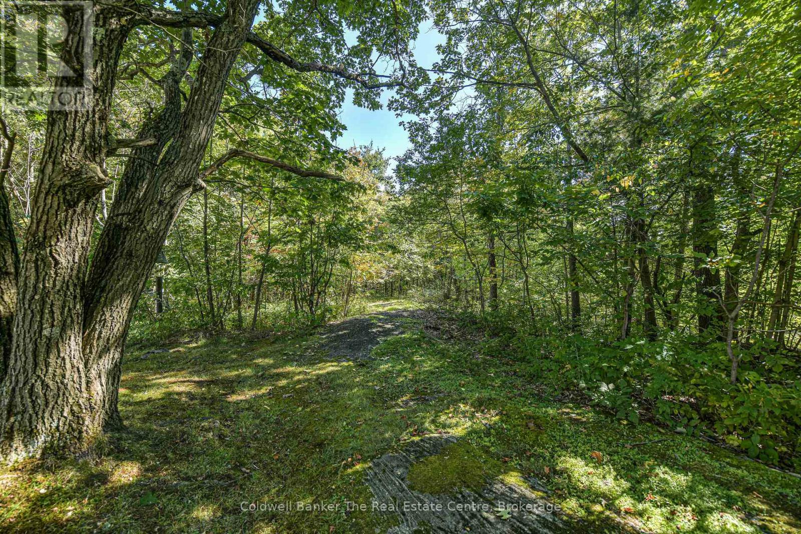 115 Jones Road, Gravenhurst, Ontario P1P 1M8 - Photo 37 - X13844132