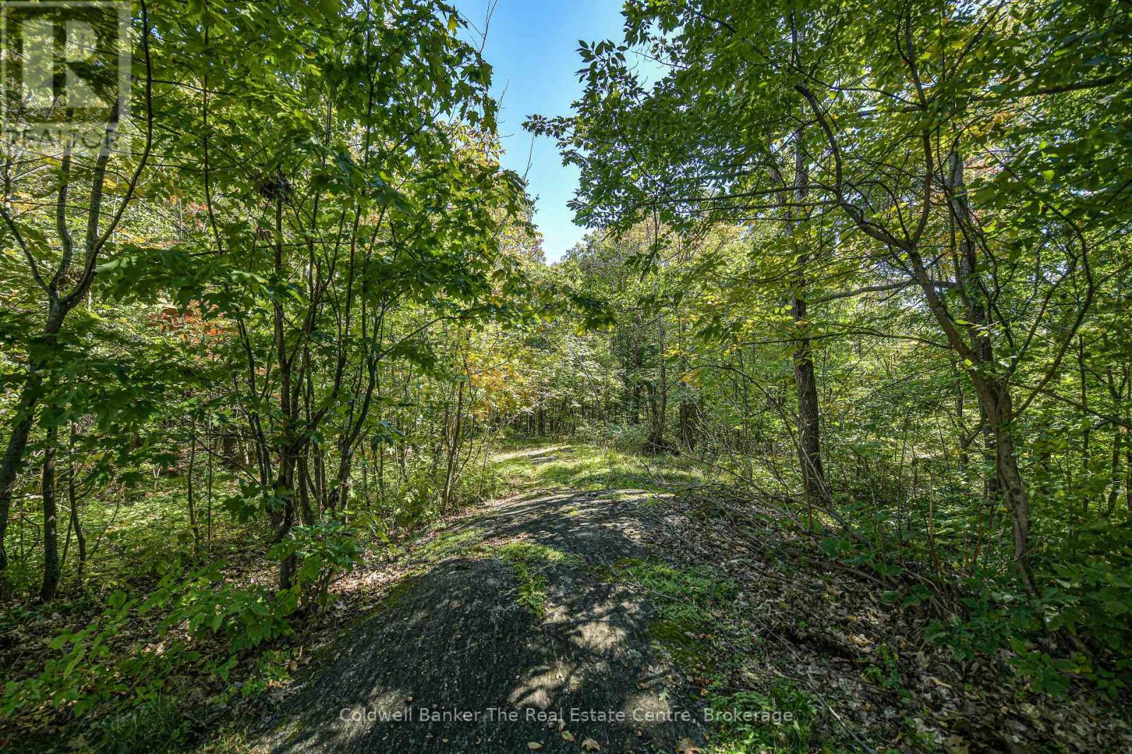 115 Jones Road, Gravenhurst, Ontario P1P 1M8 - Photo 38 - X13844132