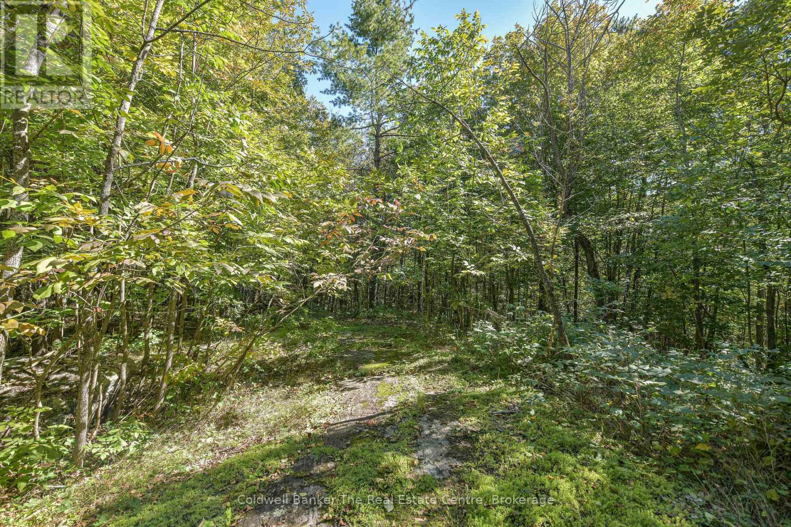 115 Jones Road, Gravenhurst, Ontario P1P 1M8 - Photo 39 - X13844132