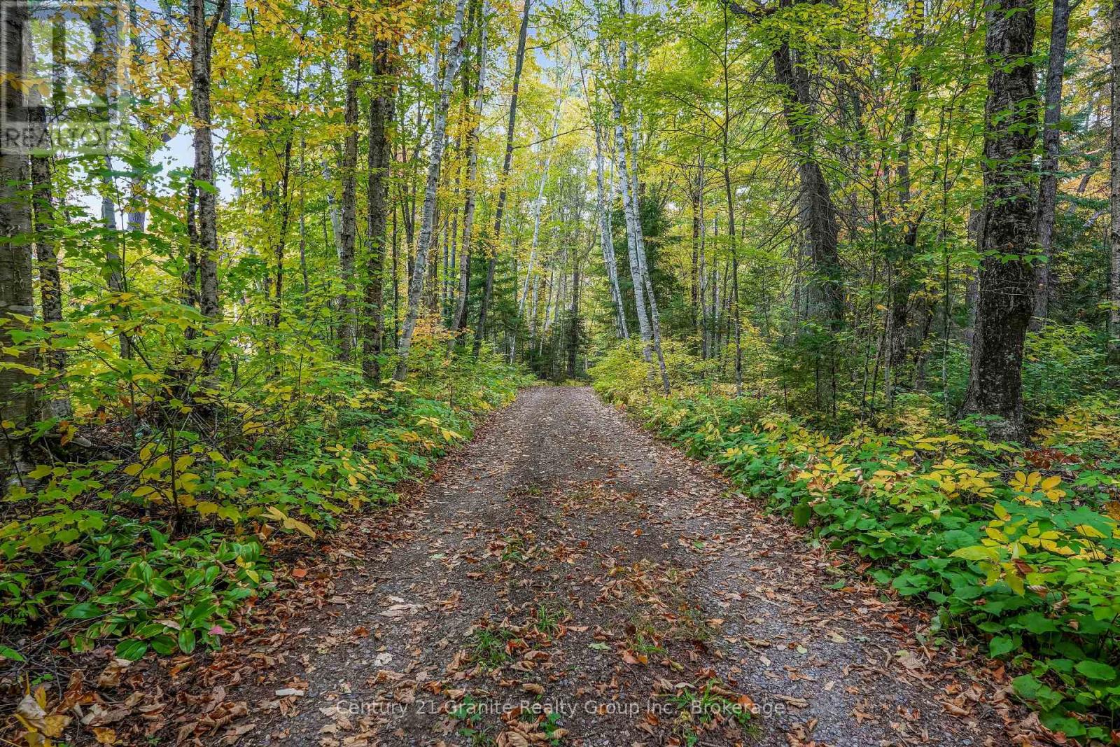 4175 Elephant Lake Road, Dysart Et Al, Ontario  K0L 3C0 - Photo 6 - X13844172