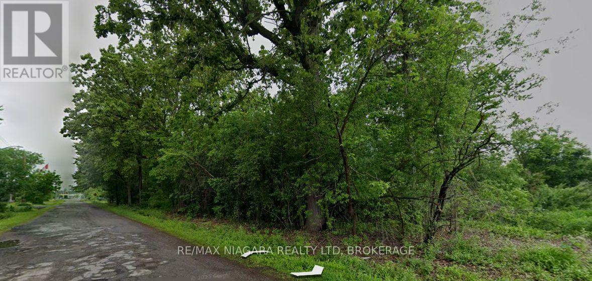 Lot 237 Sims Avenue, Fort Erie, Ontario L2A 6A9 - Photo 5 - X13844316