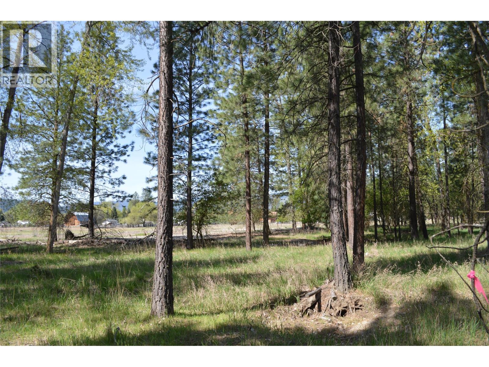 12th Street Lot# 3, Grand Forks, British Columbia  V0H 1H0 - Photo 17 - 10385756